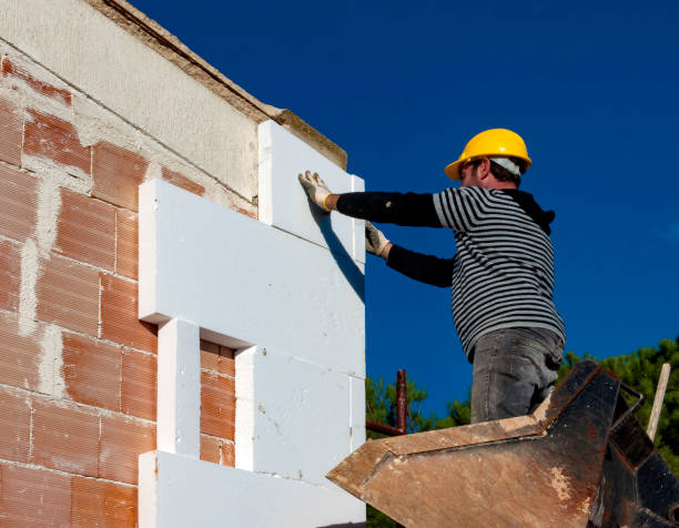 Best Cellulose Insulation in Rector, AR