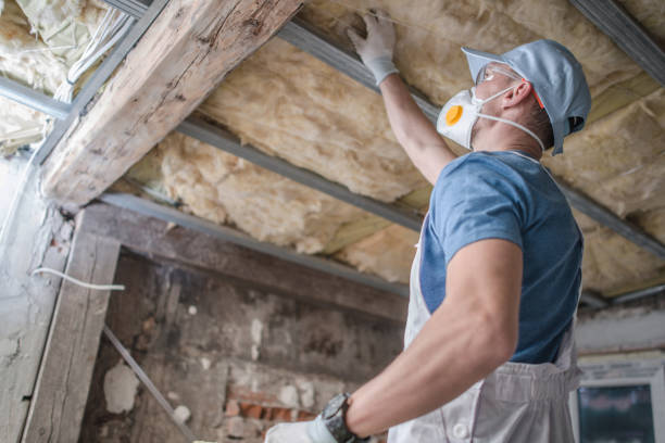 Professional Insulation Contractor in Rector, AR