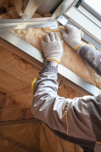 Types of Insulation We Offer in Rector, AR