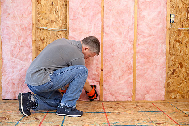 Best Energy Efficiency Insulation in Rector, AR