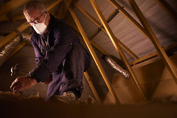 Best Geographic-Specific Insulation Services in Rector, AR